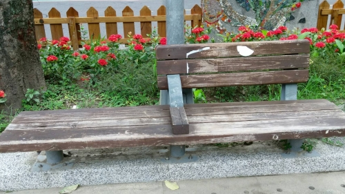台北市永康公園-戶外木製品保養