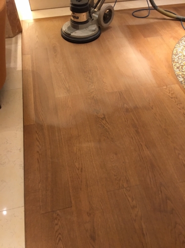 百貨公司知名精品專櫃，進行年度實木地板表面清潔保養計劃